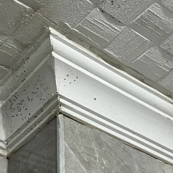 Sigorta Hasarımı Reddetti Acente İlgisiz Kaldı Mağduriyetim Giderilmiyor