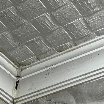 Sigorta Hasarımı Reddetti Acente İlgisiz Kaldı Mağduriyetim Giderilmiyor