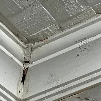 Sigorta Hasarımı Reddetti Acente İlgisiz Kaldı Mağduriyetim Giderilmiyor