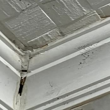 Sigorta Hasarımı Reddetti Acente İlgisiz Kaldı Mağduriyetim Giderilmiyor