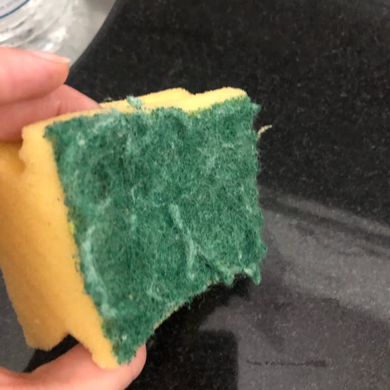 Parex Bulaşık Süngerinin Sert Kısmı İlk Kullanımda Koptu