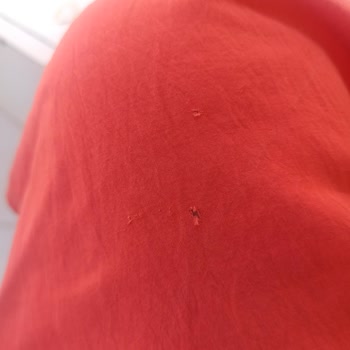 İlk Yıkamada Delinen Gömlek İçin Mağaza Çözüm Sunmadı