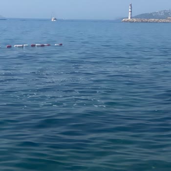 Bodrum Belediyesi Sahilinde Artan Deniz Kirliliği Sağlığımızı Tehdit Ediyor!