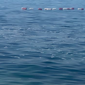 Bodrum Belediyesi Sahilinde Artan Deniz Kirliliği Sağlığımızı Tehdit Ediyor!