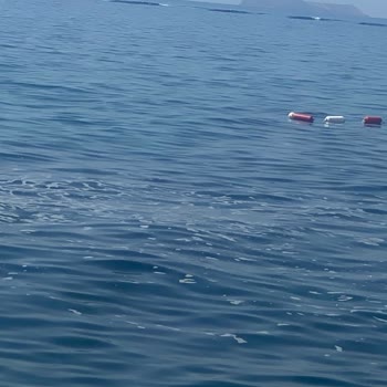 Bodrum Belediyesi Sahilinde Artan Deniz Kirliliği Sağlığımızı Tehdit Ediyor!