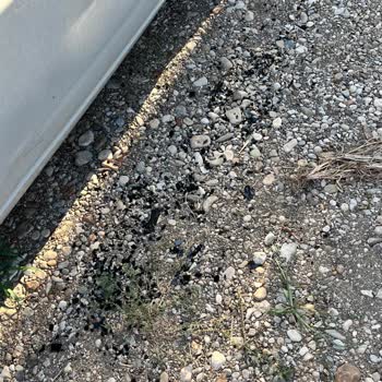 Cam Patladı, Firma Çözüm Sunmadı Ve Müşteri Memnuniyeti Sağlanmadı