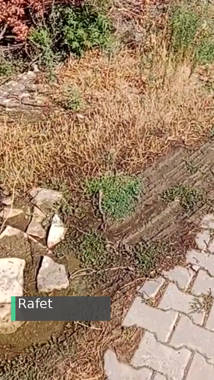 BASKİ Arızaya 10 Gündür Müdahale Etmiyor videonun kapak resmi