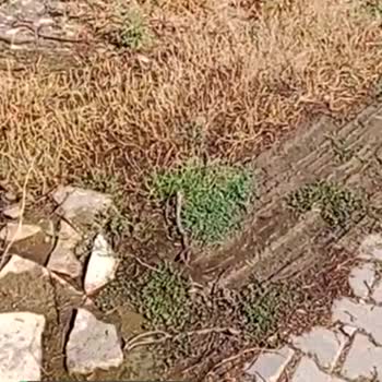BASKİ Arızaya 10 Gündür Müdahale Etmiyor