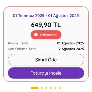 Sürekli Yapılan Zamlar Nedeniyle Netspeed Aboneliğimden Memnun Değilim