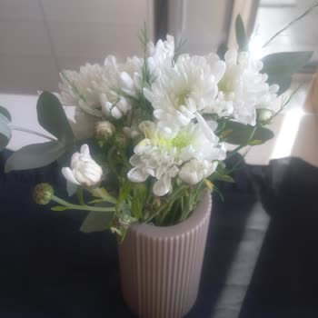 Çiçek Sepeti'nde Tekrar Eden Adres Hatası Ve Mağduriyet