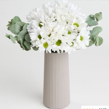 Çiçek Sepeti'nde Tekrar Eden Adres Hatası Ve Mağduriyet