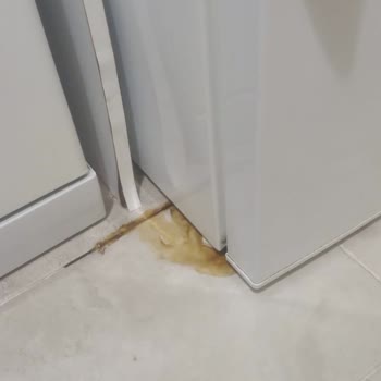 Altus Buzdolabı Sürekli Arızalanıyor, Ürünler Bozuluyor Ve Kötü Koku Oluşuyor