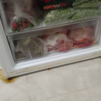 Altus Buzdolabı Sürekli Arızalanıyor, Ürünler Bozuluyor Ve Kötü Koku Oluşuyor