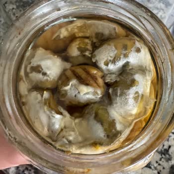 Ambalajı Kapalı Aldığım Zeytin Küflü Çıktı: Sağlık Riski Ve Güven Kaybı