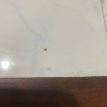 Rezervasyon Sonrası Hayal Kırıklığı: Küflü Oda, Eksik Hizmet Ve Yetersiz Çözüm