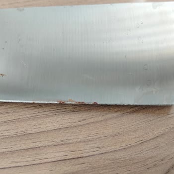 Korkmaz Ürünlerinde Kalite Sorunu Ve İade Taleplerimin Reddedilmesi