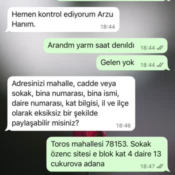 Dyson V12 Süpürgemin Bakım Sonrası Teslimatında Gecikme Ve Bilgilendirme Eksikliği