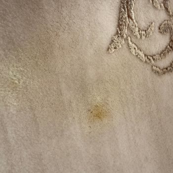 Demireller Halı Yıkama Halıdaki Lekeyi Çıkaramadılar