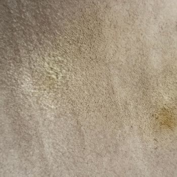 Demireller Halı Yıkama Halıdaki Lekeyi Çıkaramadılar