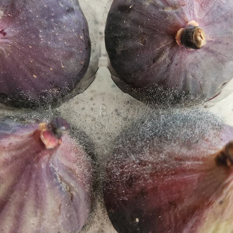 Küflü Ürün Teslimatı Ve Müşteri Hizmetlerine Ulaşılamaması