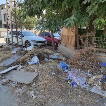 Konteyner Kentten Kaynaklanan Sağlık Ve Güvenlik Sorunlarına Acil Çözüm İstiyoruz