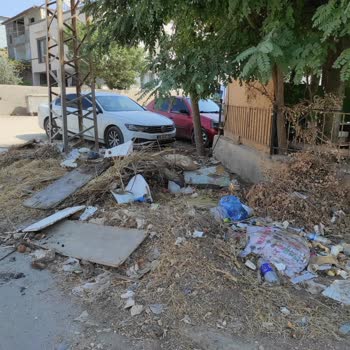 Konteyner Kentten Kaynaklanan Sağlık Ve Güvenlik Sorunlarına Acil Çözüm İstiyoruz
