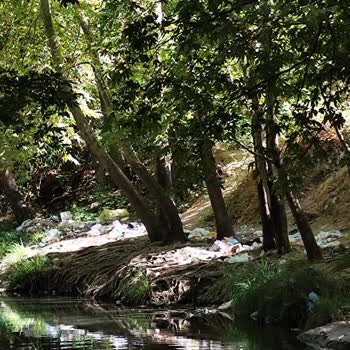 Çermik Sinek Çayında Çevre Kirliliği