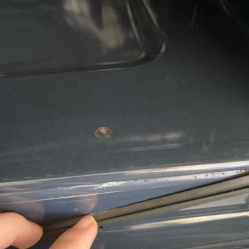 Beko Fırında Garanti Sonrası Hızlı Paslanma Ve Sağlık Endişesi