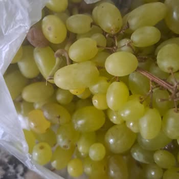 Carrefour SA Teslim Edilen Ürünlerin Tazeliği Ve Son Kullanma Tarihi Sorunu