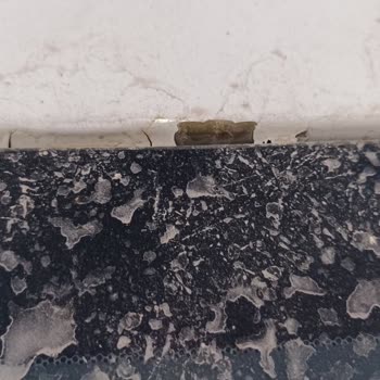 Honda Civic'te Boya Kalkması Hayal Kırıklığı Yarattı