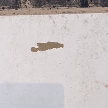 Honda Civic'te Boya Kalkması Hayal Kırıklığı Yarattı