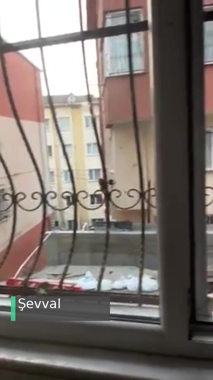 Eyüpsultan Belediyesi İnşaat Yapımında Çevreye Verilen Rahatsızlık! videonun kapak resmi
