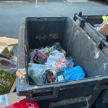 Şişli Belediyesi'nde Çöp Ve Temizlik Hizmetleri Aksıyor, Mahalle Temizliği Yetersiz