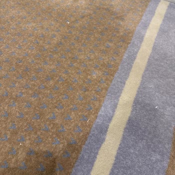 Kadınlar Mescidinde Yetersiz Temizlik Ve Hijyen Sorunu Dikkat Çekiyor