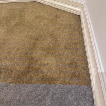 Kadınlar Mescidinde Yetersiz Temizlik Ve Hijyen Sorunu Dikkat Çekiyor