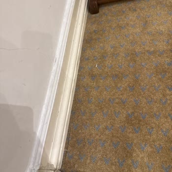 Kadınlar Mescidinde Yetersiz Temizlik Ve Hijyen Sorunu Dikkat Çekiyor