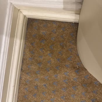 Kadınlar Mescidinde Yetersiz Temizlik Ve Hijyen Sorunu Dikkat Çekiyor