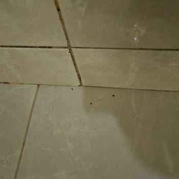 Her Şey Dahil Otelde Oda Temizliği Ve İçki Servisi Sorunları Tatilimizi Mahvetti