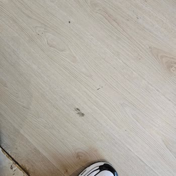 Her Şey Dahil Otelde Oda Temizliği Ve İçki Servisi Sorunları Tatilimizi Mahvetti