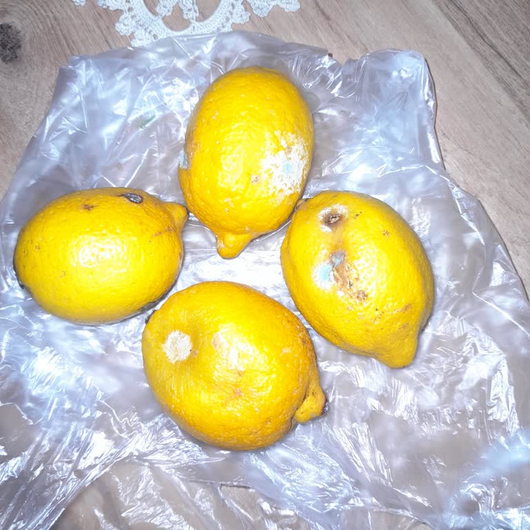 Tekrarlayan Çürük Ürün Gönderimi Ve Yetersiz Müşteri Hizmetleri Mağduriyeti