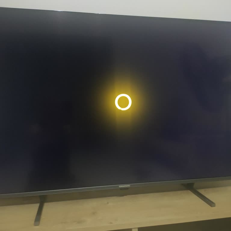 Abonelik Sonrası Uygulamaya Erişim Sorunu Ve Müşteri Hizmetlerine Ulaşılamıyor