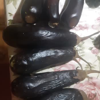 Şok Marketler Siparişimde Gelen Patlıcanlar Çürük ve Buruşmuş Halde Teslim Edildi