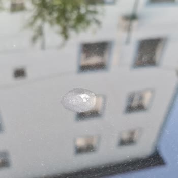 T-Roc Aracımda Tavan Boyası Kalkması Nedeniyle Değer Kaybı Endişesi