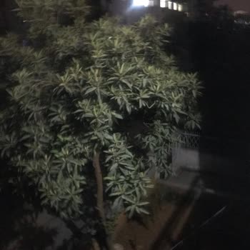 Sokak Lambalarının 6 Gündür Yanmaması Ve İletişim Sorunu