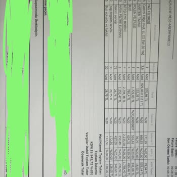 Yetkili Serviste İşçilik Hatası Sonucu Oluşan Masraf Ve Kaba Davranışlar