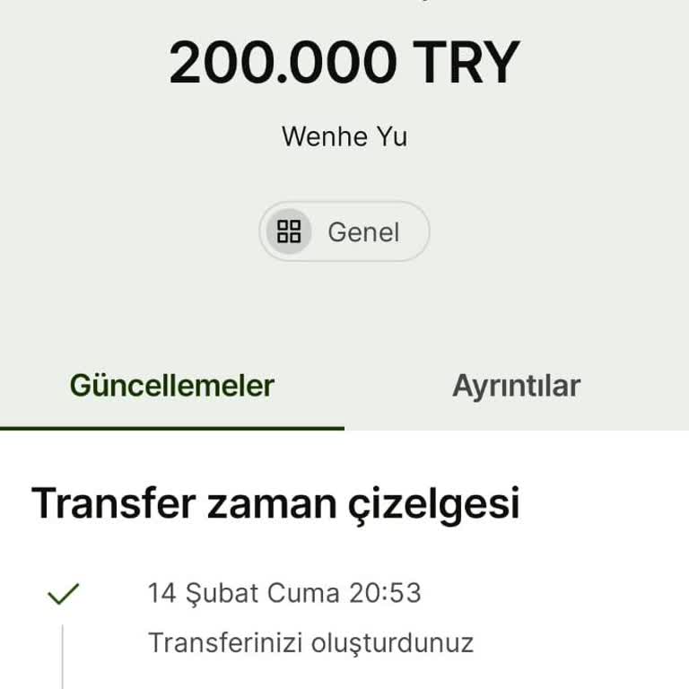 Wise Üzerinden Yapılan Transferlerin İadesi 5 Aydır Gerçekleşmiyor