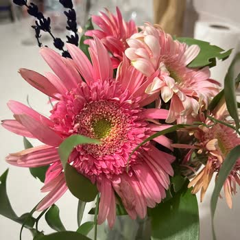 Görselden Farklı Ve Solmuş Çiçek Teslimatı, İletişim Sorunu