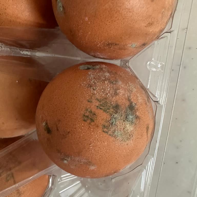 Getirden Küflü Yumurta Teslimatı Ve Çözümsüzlük Mağduriyeti