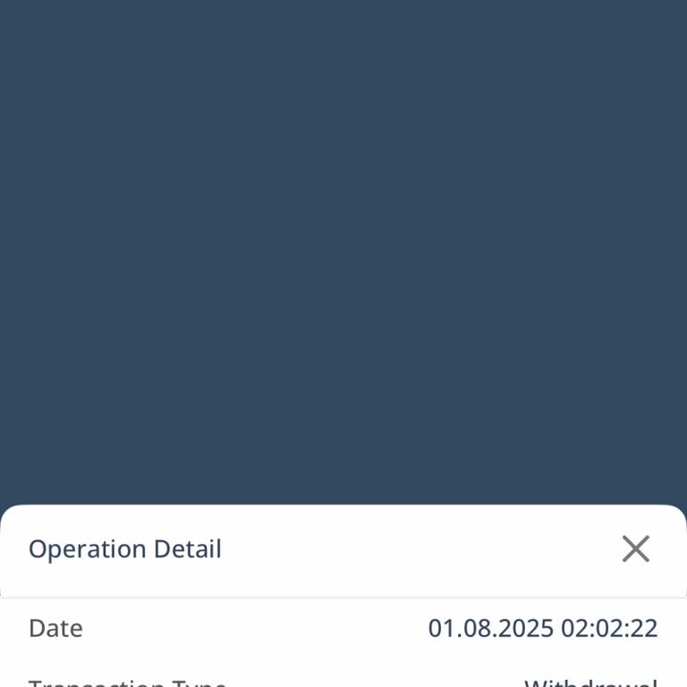 Icrypex'te 11 Gündür Askıda Kalan Ethereum Transferi Ve Mağduriyet