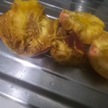 Taze Diye Satılan Şeftaliler Donmuş Ve Bozuk Çıktı, Mağdur Oldum